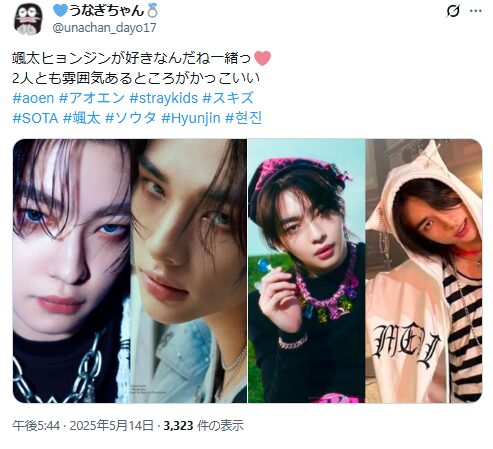 aoenロールモデル