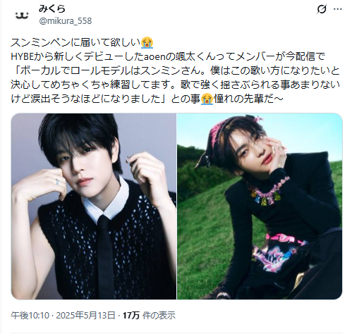 aoenロールモデル