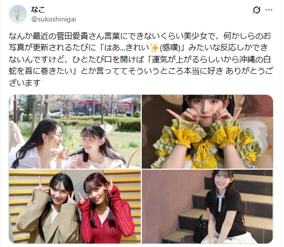 超ときめき宣伝部人気順最新